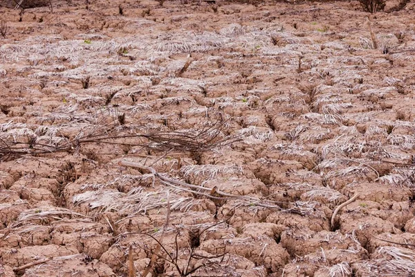 無人地帯にある土地の高い角度のショット — ストック写真