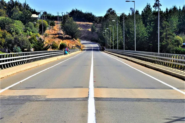 Una Calle Puente Bosque Pichilemu Chile Sudamérica —  Fotos de Stock