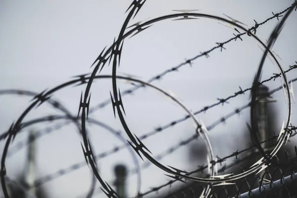 Selective Focus Shot Rolled Razor Barbed Wire Blurred Background — Stock Photo, Image