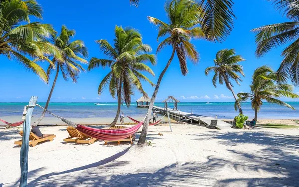 Ambergris Caye Belize Feb 2019 Ambergris Caye Belize Februar 2019 stockbilde