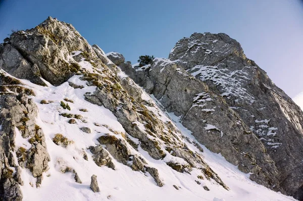 Hermoso Plano Altas Montañas Rocosas Cubiertas Nieve — Foto de Stock