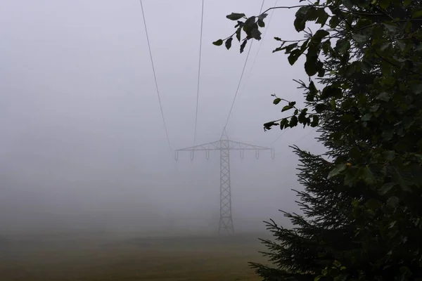 一丛丛矮树丛的特写镜头 背景上有一个被雾覆盖的透射塔 — 图库照片
