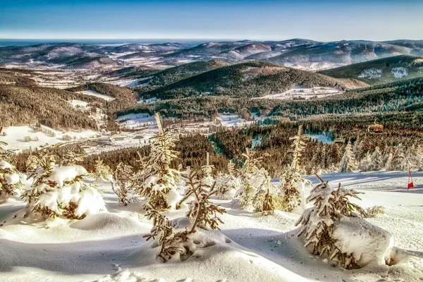 Kışın Tepelerde Karla Kaplı Ladin Ağaçlarından Oluşan Güzel Bir Manzara — Stok fotoğraf