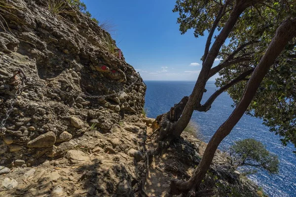 Littoral Ligurien Sur Promontoire Tigullio Entre Camogli Portofino Italie — Photo