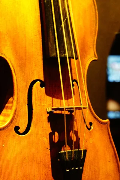 Egy Közeli Felvétel Egy Gyönyörű Hegedűről Homályos Háttérrel — Stock Fotó