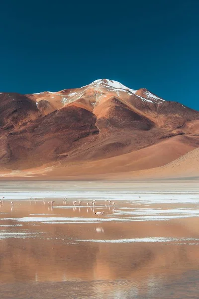 晴れた日に砂漠で山と水のボディの広いショット — ストック写真