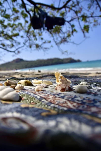 ビーチでパターン化された織物に小さな貝殻の垂直閉鎖ショット — ストック写真