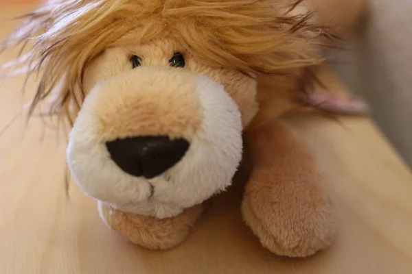 Closeup Shot Brown Cuddly Plush Lion Toy Wooden Surface — Stock Photo, Image