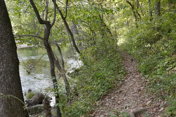 Hiking Trail Winding Banks Spring Fed Stream Missouri Ozarks — Stock Photo, Image