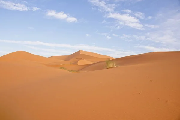 Een Brede Hoek Opname Van Een Grote Woestijn Onder Zon — Stockfoto