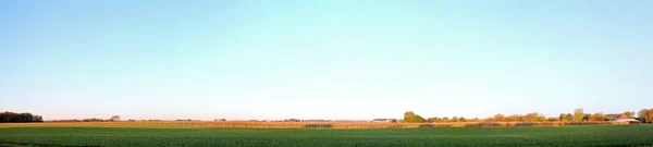 Панорамный Снимок Красивого Зеленого Пейзажа Ясным Небом — стоковое фото