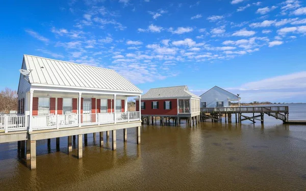 Mandeville Louisiana Vereinigte Staaten Februar 2018 Fontainebleau State Park Louisiana — Stockfoto