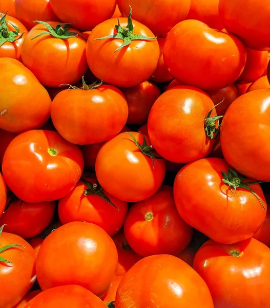 Ein Hochwinkel Schuss Rotglänzender Tomaten — Stockfoto