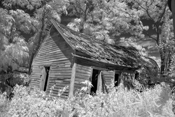 ミズーリ州の太陽の下で木や花に囲まれた古い木製の納屋のグレースケール — ストック写真