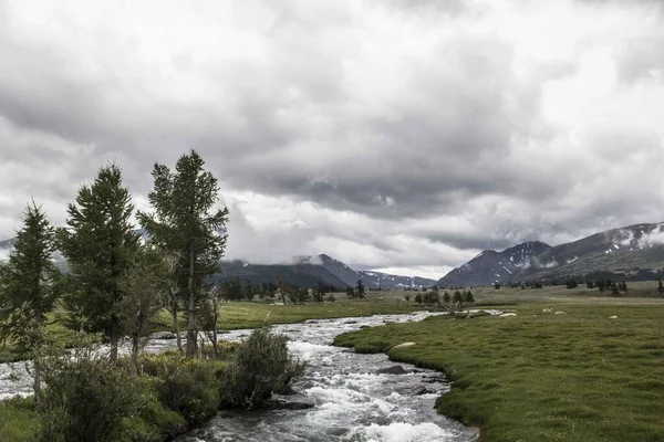 Una Hermosa Vista Arroyo Rocoso Agua Terreno Césped Con Árboles — Foto de Stock