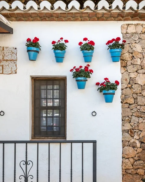 青い鍋に美しい花の窓の垂直ショット — ストック写真