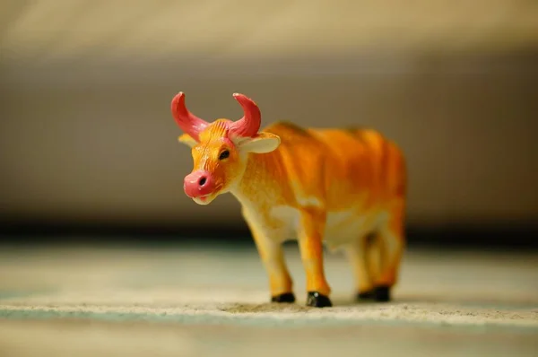 在房间里拍的一头公牛玩具的特写 — 图库照片