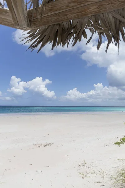 Disparo Vertical Playa Arena Cerca Del Océano Bajo Cielo Azul — Foto de Stock