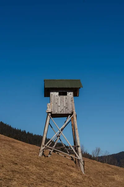 Egy Függőleges Lövés Egy Fatoronyról Hegyen — Stock Fotó