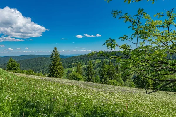 Belo Prado Uma Encosta Com Vista Para Uma Vista Panorâmica — Fotografia de Stock