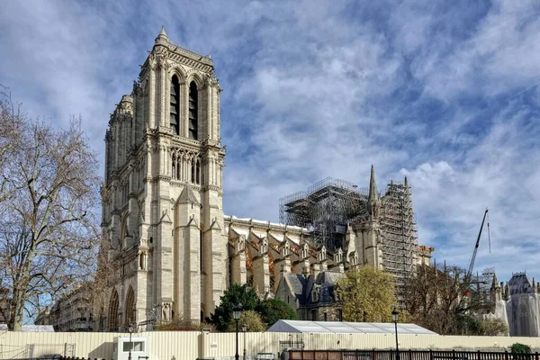 Egy Gyönyörű Kép Fákról Notre Dame Paris Ról Hét Hónappal — Stock Fotó