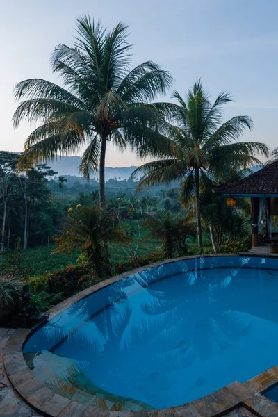 Tiro Vertical Uma Piscina Reflexo Palmeiras Bali — Fotografia de Stock