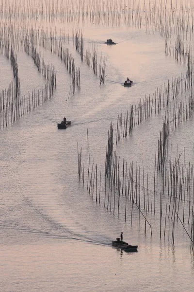 Colpo Verticale Dei Pescherecci Nell Oceano Durante Tramonto Xia Cina — Foto Stock