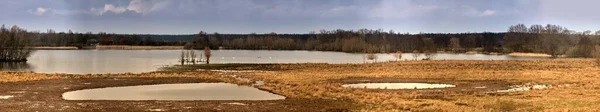 Eine Panoramaaufnahme Des Naturschutzgebietes Ilkerbruch Wolfsburg Deutschland — Stockfoto