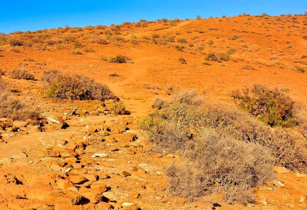 Orange Sand Dry Plants Hills Deserted Area — Stock Photo, Image