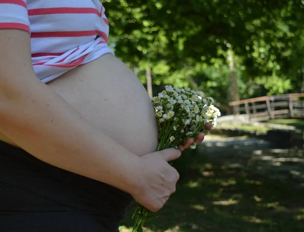 Closeup Shot Pregnant Woman Holding Branch Flowers Front Her Belly — Stock Photo, Image