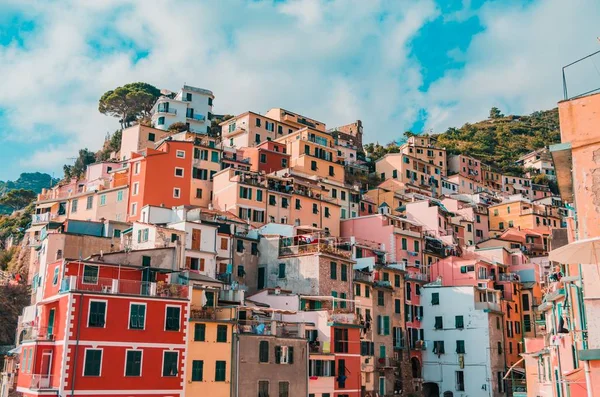 Riomaggiore是意大利五个地球中的一个 一个充满五彩斑斓房屋的美丽的地方 — 图库照片