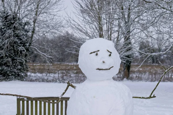 Pupazzo Neve Circondato Alberi Nel Parco Durante Inverno — Foto Stock