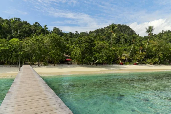 Piękne Ujęcie Czystego Morza Pobliżu Wyspy Raja Ampat Pod Jasnym — Zdjęcie stockowe