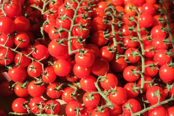 Sebuah Foto Close Tomat Ceri Segar Pasar — Stok Foto