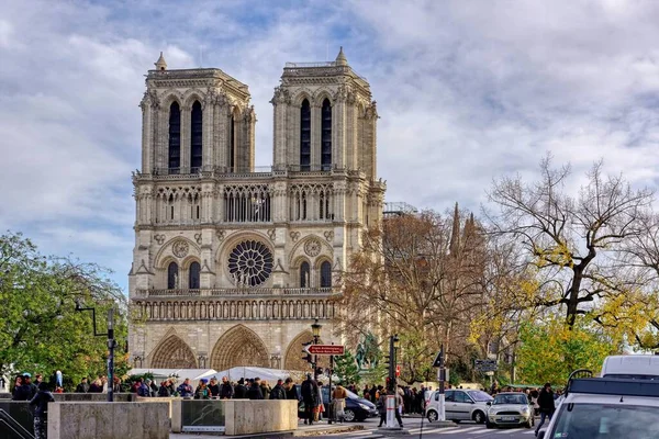 Uno Splendido Scatto Alberi Notre Dame Paris Sette Mesi Dopo — Foto Stock