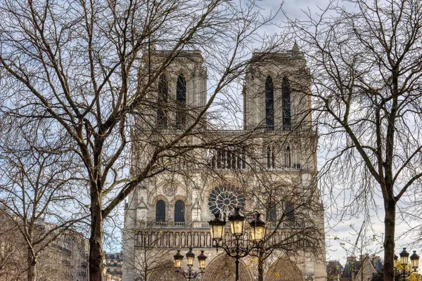 Μια Όμορφη Λήψη Δέντρων Και Notre Dame Paris Επτά Μήνες — Φωτογραφία Αρχείου