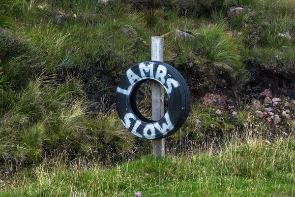 A roadside sign painted on a tire that reads 