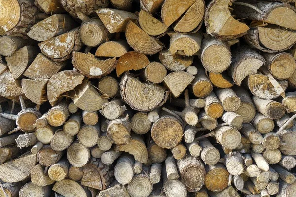 Brennholz Übereinander Gestapelt — Stockfoto