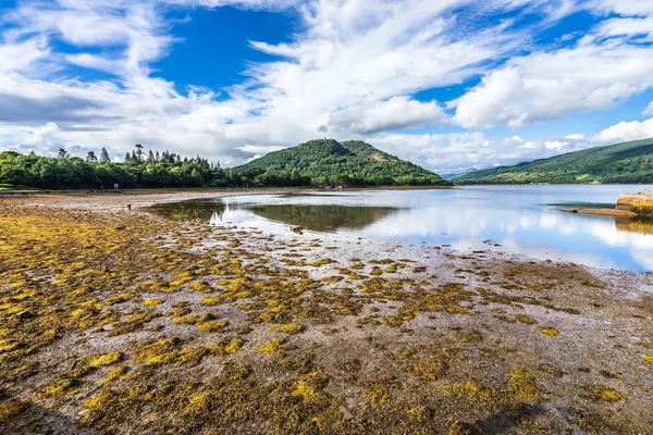 Costa Loch Fyne Vista Desde Inveraray Argyll Escocia —  Fotos de Stock
