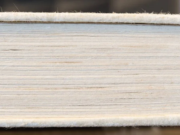 Uno Scatto Ravvicinato Delle Pagine Libro Denso — Foto Stock