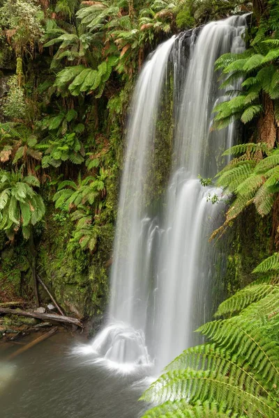Ein Vertikales Bild Eines Wasserfalls Umgeben Von Büschen Und Blättern — Stockfoto