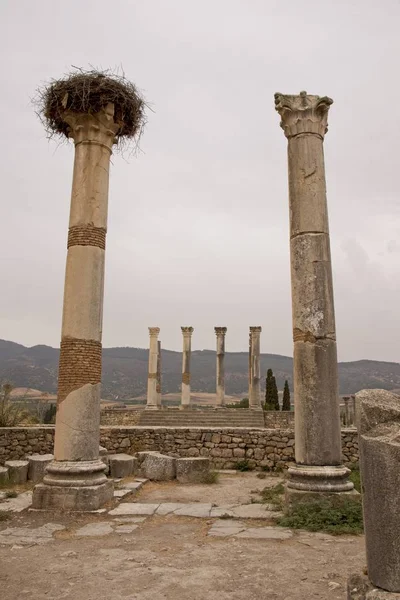 モロッコの最近発掘されたVolubilis市の塔の垂直ショット — ストック写真