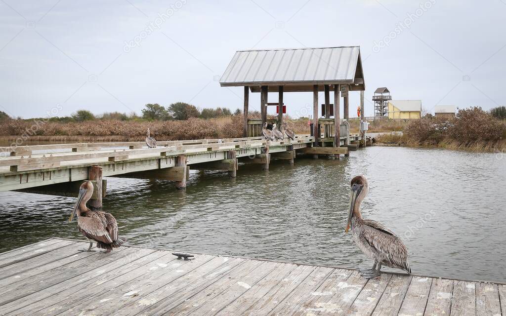 GRAND ISLE