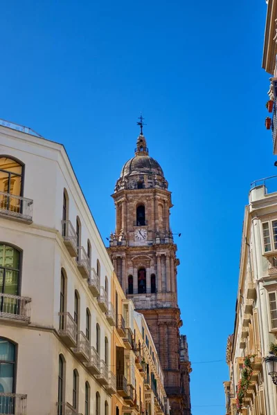 Malaga Spain Jun 2019 Vertical Shot One Columns Catedral Encarnacin — Stock Photo, Image