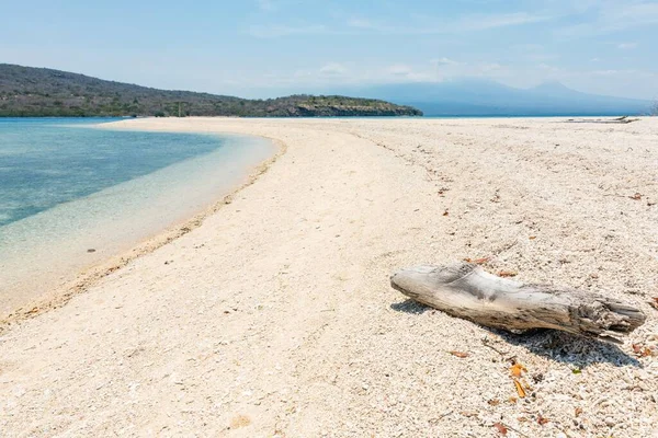 Een Prachtig Landschap Van Een Eiland Strand Met Bomen Achtergrond — Stockfoto