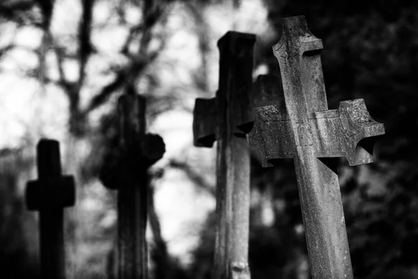 Grayscale Shot Stone Crosses Blurred Background — Stock Photo, Image