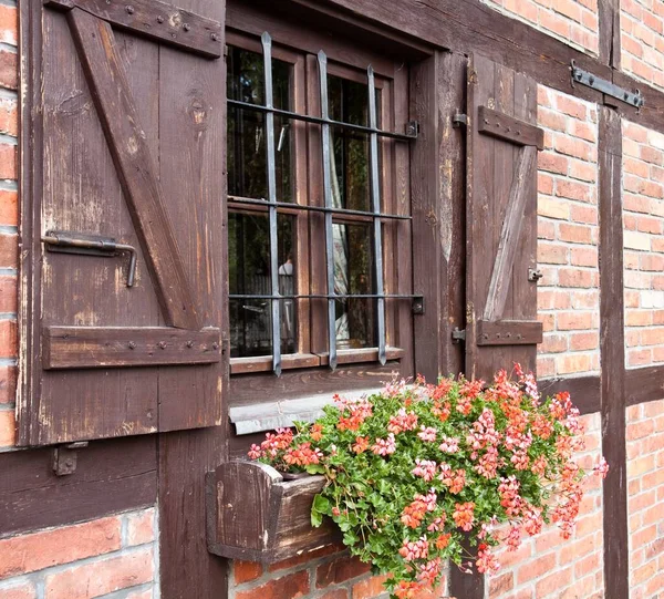 Close Disparou Uma Janela Tradicional Com Flores — Fotografia de Stock