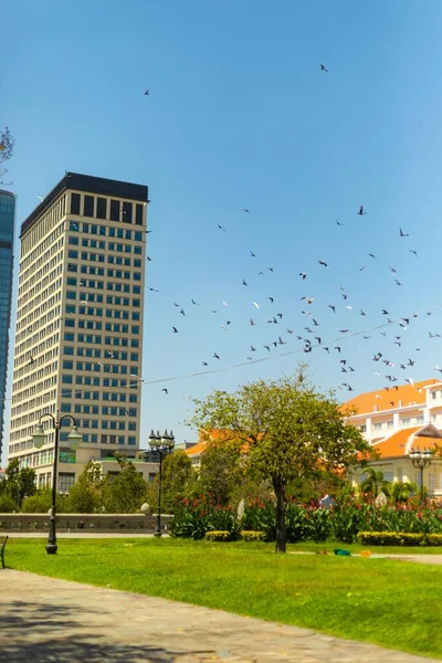 Sebuah Gambar Vertikal Dari Gedung Kantor Modern Dengan Sekawanan Burung — Stok Foto