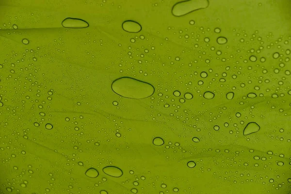 Droppar Vatten Utsidan Ett Grönt Tält Visar Sig Inifrån Tältet — Stockfoto