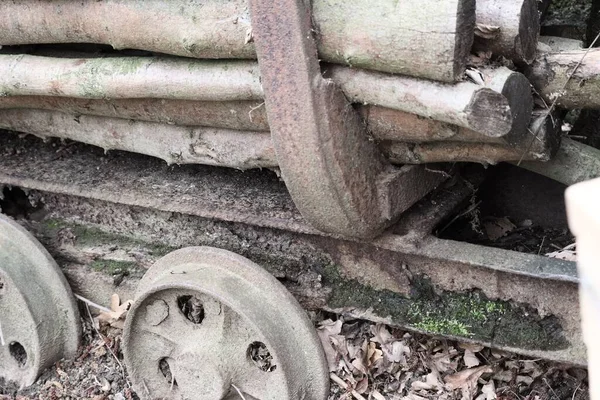 Ein Alter Verrosteter Wagen Mit Abgehackten Bäumen — Stockfoto